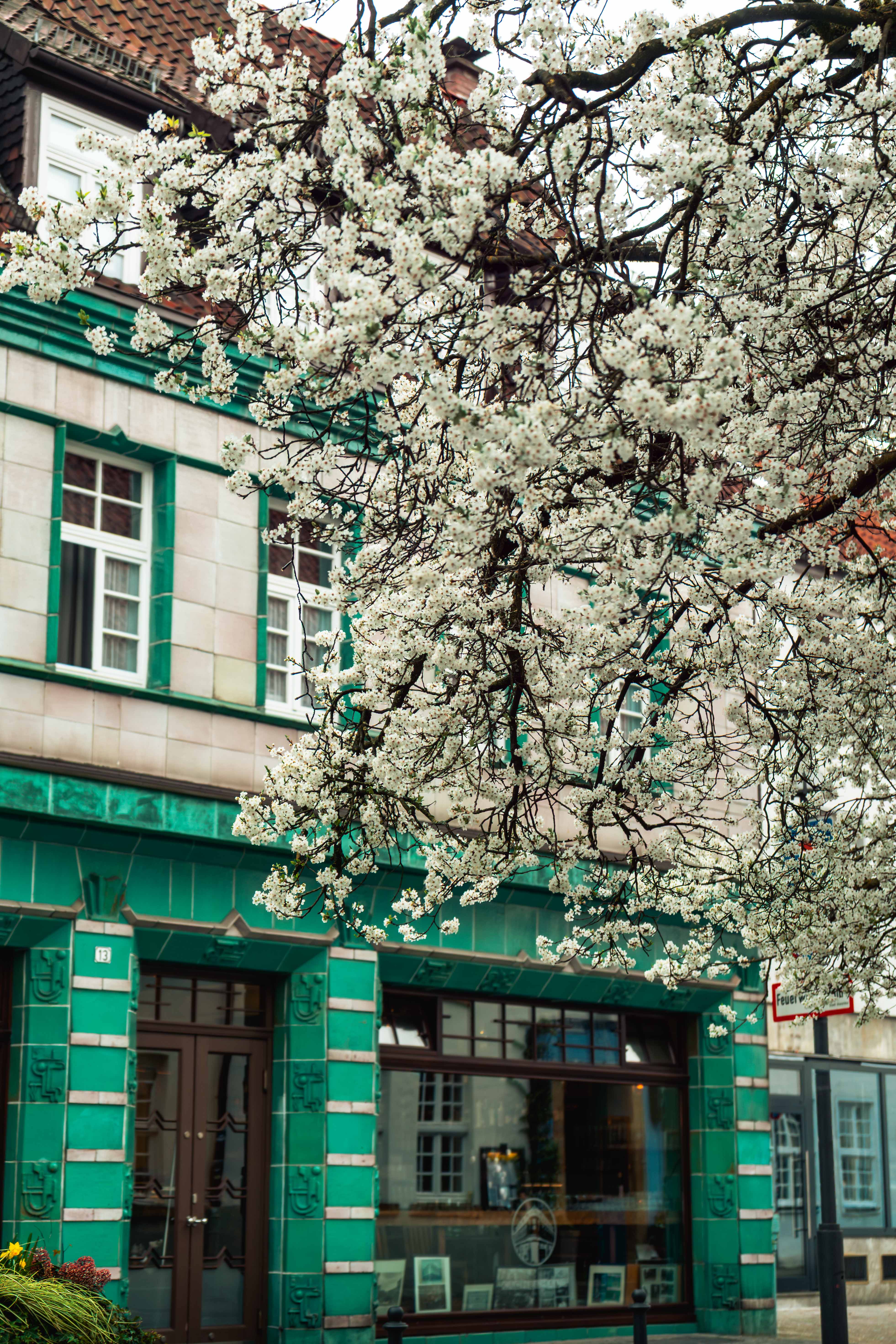 Eingang des Kachelhaus Bielefeld mit grüner Kachelfassade
